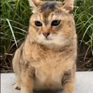 @mmm_141l
