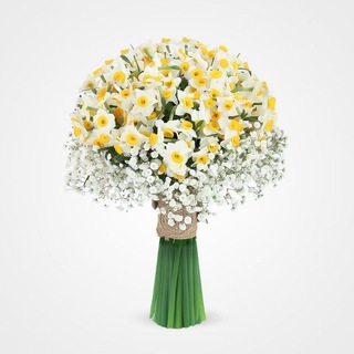 @mmohamad1171