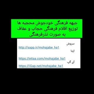 @mohajabe_ha1
