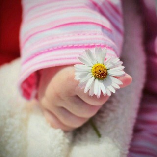 @mohamed002003