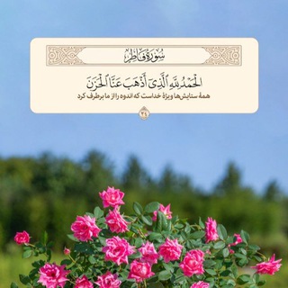 @mohammad_talebzadeh