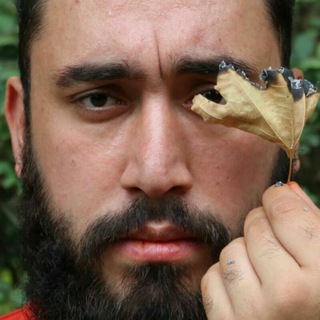 Mohammadmohebelahi(ACTOR