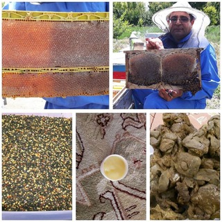 معجزات زنبور درمانی