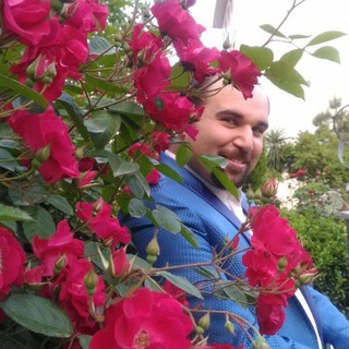 @Mojtaba_Ghazi
