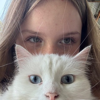 @molliiih