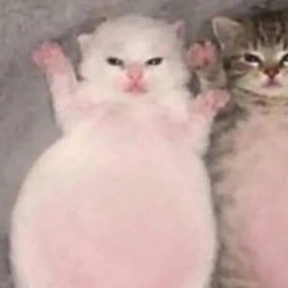 @monyweet