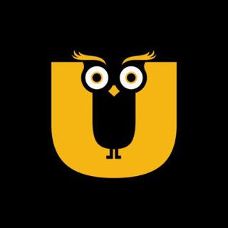 Video - Update every day +Follow