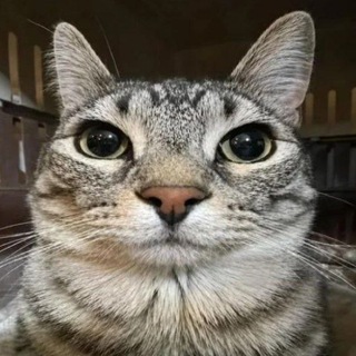 @mooncherry33