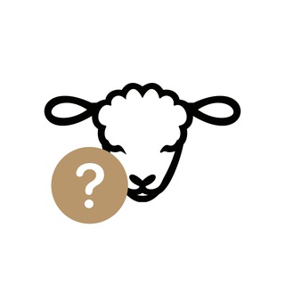 @mosdate_team