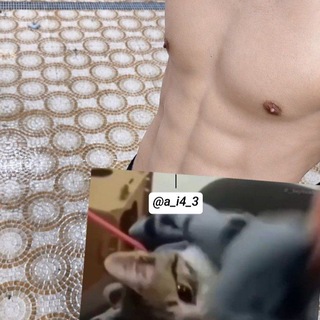 @motazl1