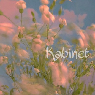 @moy_kabinet