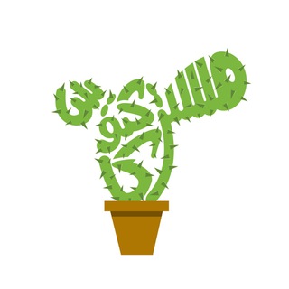 🌵 Mr cactus 🌵
