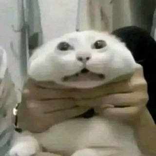 @mr_gred