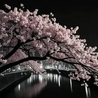 @mr_s1kret