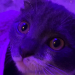 @mraz_max