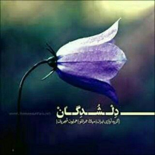 دل شدگان