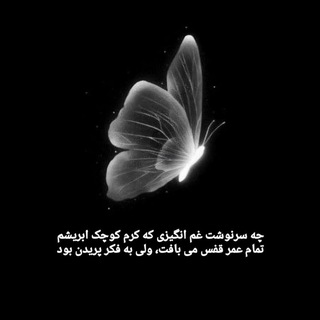 @mrs_mhbn