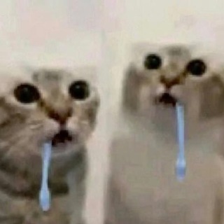 @mrthzcht