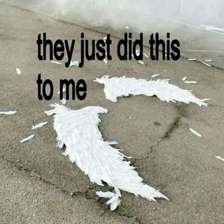 @mrwilliamxxx