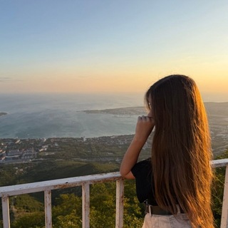 @msvav