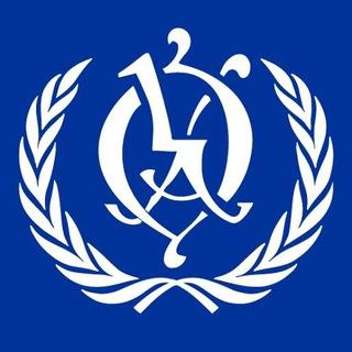 Модель ООН в ОА