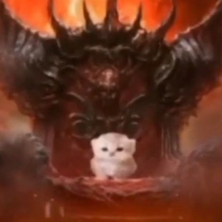 @murmurmrrak