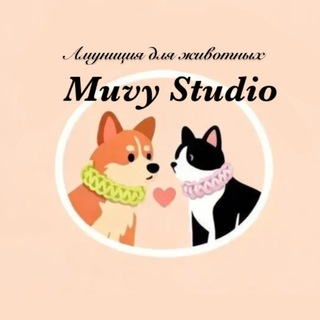 @MuvyStudio