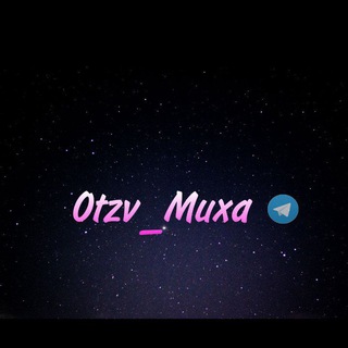 @Muxa_otzivv