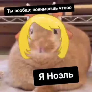 @myam_poop