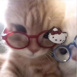 @Myquestion2