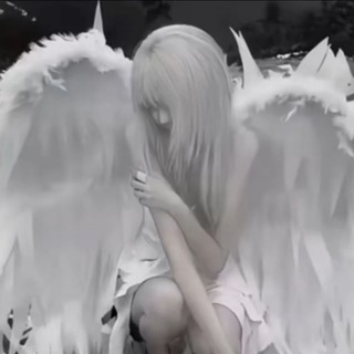 @n1ck1ee
