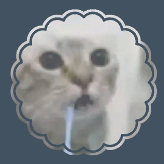@n3t001