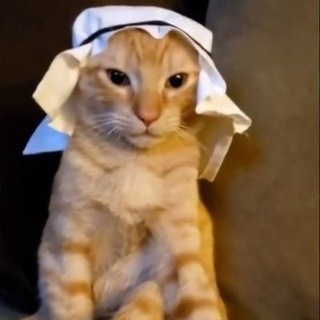 @n_7_5