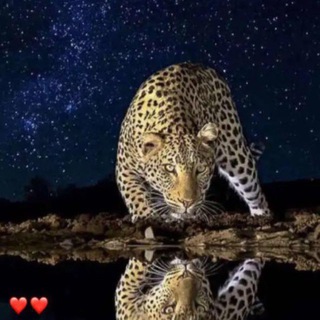 @najd7f