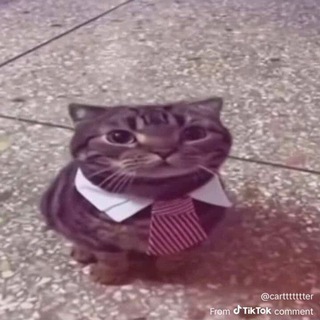@narblew