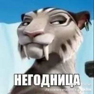@Nasteksww