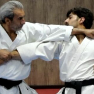 NAZERIAN . (karate_do