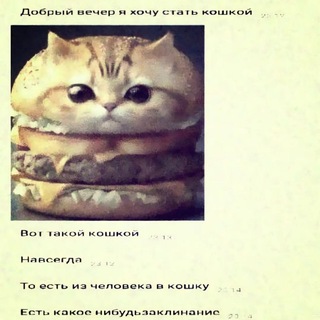 @nectarar
