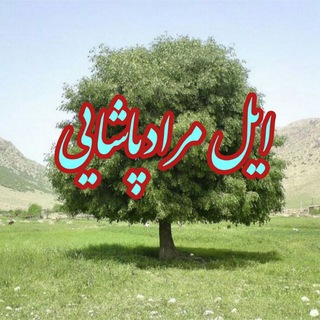 👈 کانال ایل بزرگ مرادپاشایی👉