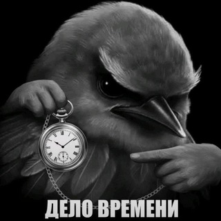 @nerakton213