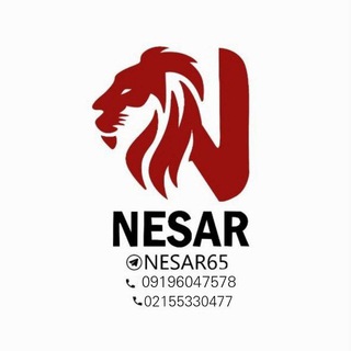 @nesar65