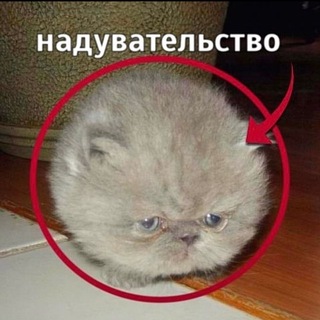 @NevertryHARDER