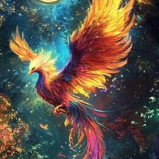 @newfirebird