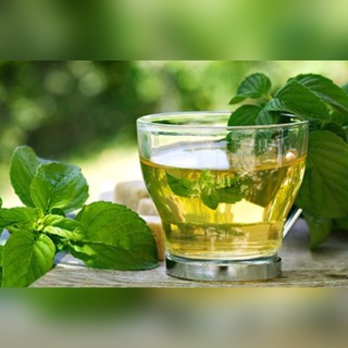 🍀زندگي سبز🍀