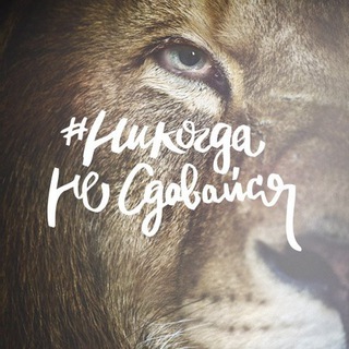 НИКОГДА НЕ СДАВАЙСЯ