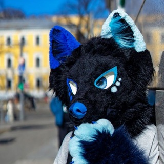 @Night_Hund