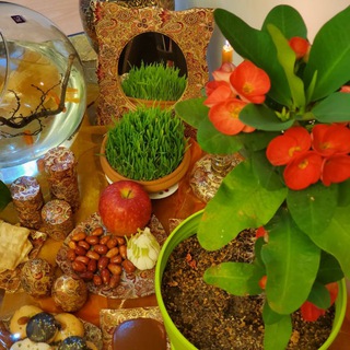 کوچینگ زندگی دکتر ناصر دکانی