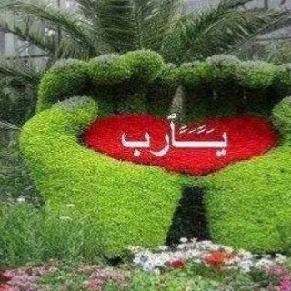 @nnbvccdddxgbj