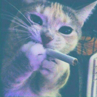 •|^-^نُقـطہ سـ ـرخَــط♡|•