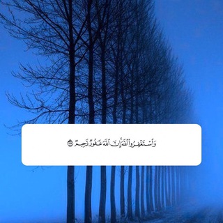 @Noir_9